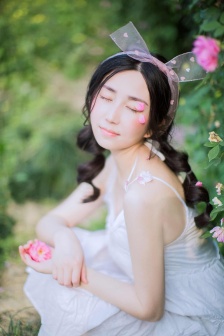 姫骑士